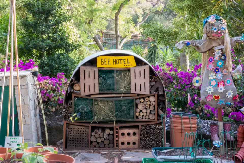 Garden with bee houses labeled 'bee hotel' and scarecrow